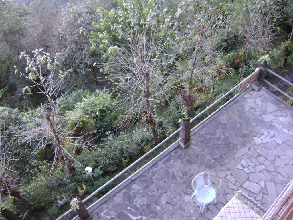 Deolo Cliff Eco Resort Kalimpong Bagian luar foto